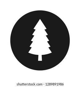 Evergreen conifer pine tree icon vector illustration design isolated on flat black round button