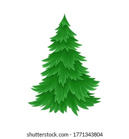 Evergreen Coniferous Fir Tree with Exuberant Foliage Vector Illustration