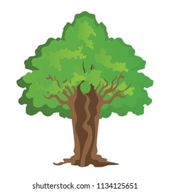 
An evergreen deciduous tree, sassafras flat vector icon
