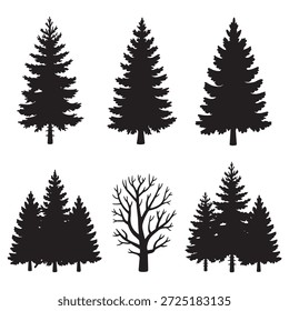 Evergreen and deciduous trees silhouettes forest