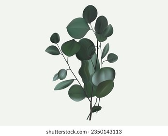 Evergreen eucalyptus 3d. A branch of a green plant with leaves on the stem. Tropical nature, evergreen botany. Ornament for decoration design, symbol of ecology, environment. Vector 3d illustration.