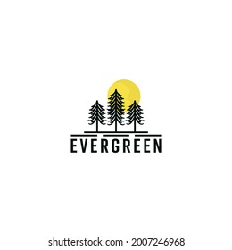 Evergreen fir conifer spruce pine with moon lunar for outdoor logo design