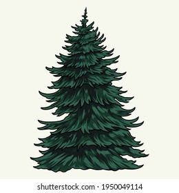 Evergreen fir tree vintage colorful template on white background isolated vector illustration