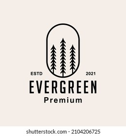 Evergreen fire pine spruce hipster icon vector illustration