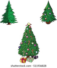 evergreen fir-tree.  different cartoon evergreen pine tree . Vector illustration on white background