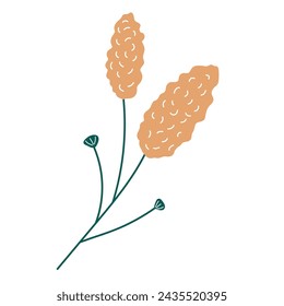 Ilustración vectorial dibujada a mano de flor perenne. Aislado sobre un fondo blanco.