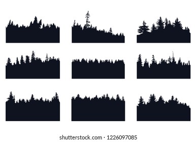 Evergreen forest silhoettes