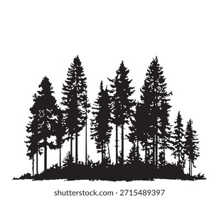 Evergreen Forest Tree Silhouette Vector Illustration