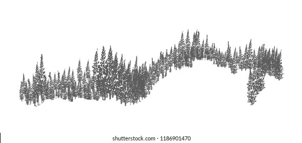 Evergreen forest or woodland landscape with silhouettes of coniferous trees growing on hills. Hand drawn natural monochrome decorative element isolated on white background. Vector illustration.