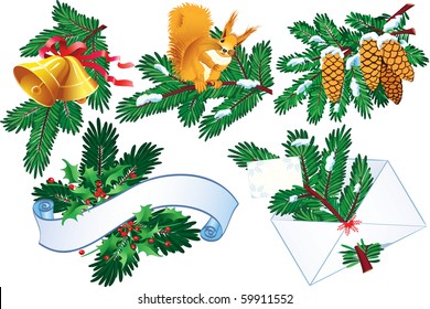Evergreen and holly collection
