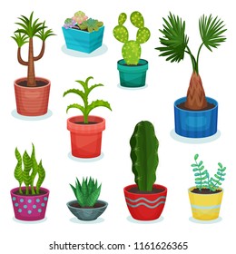 Evergreen house plants in flower pot set, element for decoration home interior vector Illustrations on a white backgroun