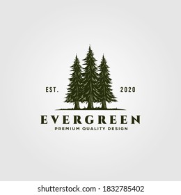 evergreen logo vintage illustration design, pine trees logo