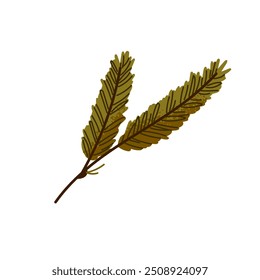 Evergreen pine branch icon. Green fir twig with needles. Spruce sprig with coniferous leaves. Christmas tree, holly conifer. Symbol of Xmas. Flat isolated vector illustration on white background
