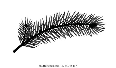 Evergreen pine branch needle cluster illustration captured in a detailed black and white engraving style for seasonal and nature inspired layouts.