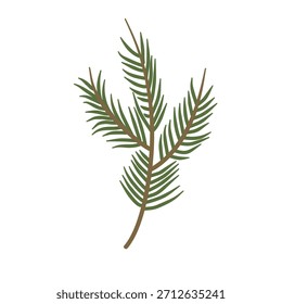 Evergreen Pine Nadel Cluster gezeichnet einfach Stil