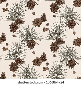 Evergreen pine tree branch, winter holiday season decor. Spruce needle with cone december art. Conifer  Pinecone frame Xmas seamless background