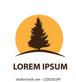evergreen pine tree,  logo icon