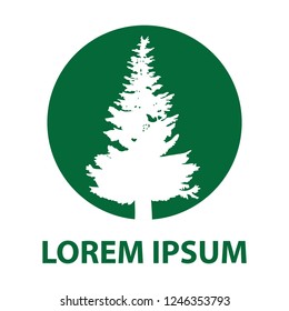 evergreen pine tree,  logo icon