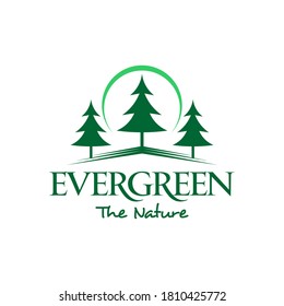 Evergreen Pine Tree Logo Simple Green, Forest Vector for Logging or Wood Industry Graphic Design Template Ideas