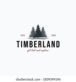 Evergreen pine tree with two trees behind in foggy weather. Vintage logo emblem vector illustration design