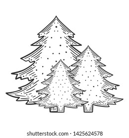 Evergreen pine tree. Vector concept in doodle and sketch style. Hand drawn illustration for printing on T-shirts, postcards.