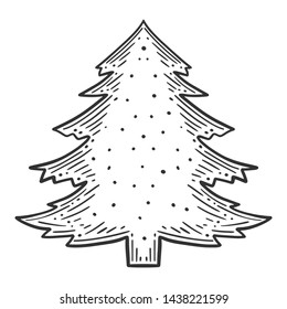 Evergreen pine tree. Vector concept in doodle and sketch style. Hand drawn illustration for printing on T-shirts, postcards.
