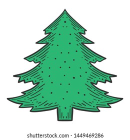 Evergreen pine tree. Vector concept in doodle and sketch style. Hand drawn illustration for printing on T-shirts, postcards.