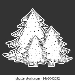 Evergreen pine tree. Vector concept in doodle and sketch style. Hand drawn illustration for printing on T-shirts, postcards.