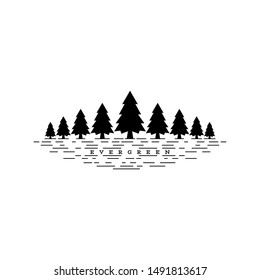 evergreen pine tree vector design illustration