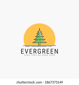 Evergreen pine trees logo vector illustration design