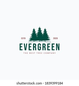 Evergreen pine trees. Vintage logo vector illustration design