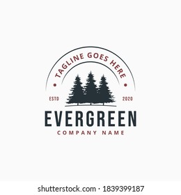 Evergreen pine trees vintage logo with half round stamp on top. vector illustration design