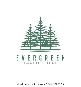 Evergreen, Pines, Spruce, Cedar trees logo design