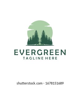 Evergreen, Pines, Spruce, Cedar Trees Logo Design