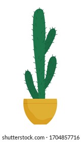 Evergreen plant with prickly thorns in yellow pot. Cactus that grown indoor in potting soil. Object of decor isolated on white cacti. Vector illustration of tropical houseplant in flat style