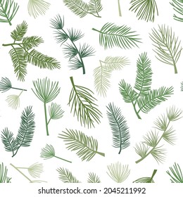 Evergreen plant and tree seamless pattern, background with pine and fir branch, cedar twig, Christmas and New Year decoration, nature print. Hand drawn vector illustration - Shutterstock ID 2045211992