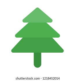 Evergreen spruce tree