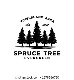 Evergreen spruce tree logo hipster design template inspiration