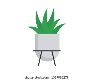 Evergreen succulent plant in pot. Home Plant in pot vector web icon isolated on white background, EPS 10, top view 