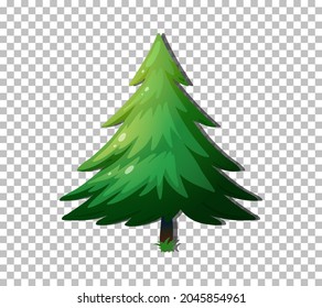 Evergreen tree isolated on transparent background illustration