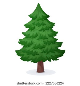 Evergreen tree isolated on white background. Cartoon illustration of fir tree. Christmas tree without decoration. Vector pine tree.