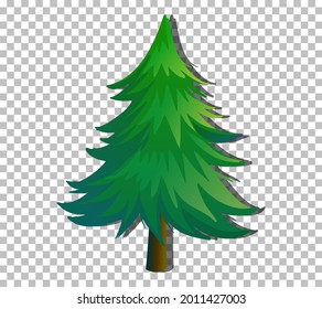 An evergreen tree on transparent background illustration