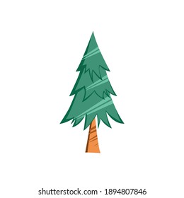 The evergreen tree which is synonymous with cold