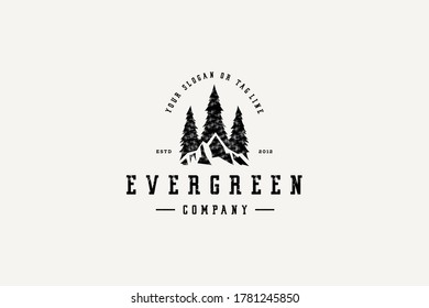 evergreen vintage  logo design vector template