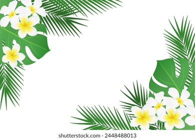 Everlasting tropical plant frame_vector illustration