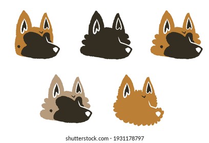 Every Belgian shepherd variety, including grey tervueren