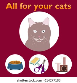 Everything you need for your cat - icons