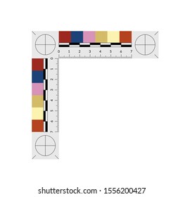 Evidence ruler for measuring bruise size and age