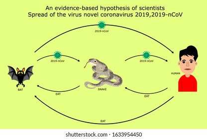 An Evidence-based Hypothesis Of Scientists Spread Of The Virus Novel Coronavirus 2019,2019-nCoV,Covid-19,Bats Spread To Snakes,Snakes Spread To People,People Who Eat Snakes Or Bats