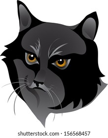 evil black cat